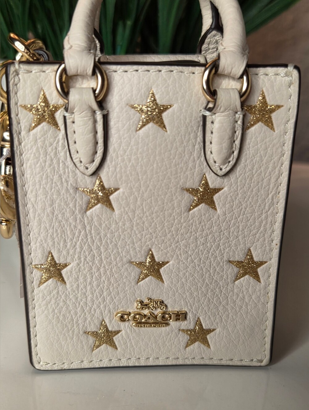 Coach North/South Mini Tote Bag Charm With Star Print Leather Keychain NWT - Picture 2 of 8